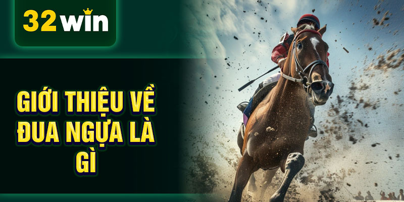 Giới thiệu về đua ngựa là gì