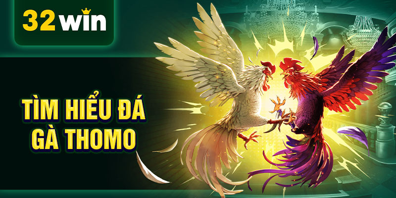 Tìm hiểu đá gà Thomo
