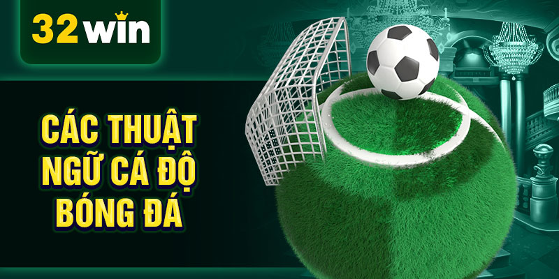 Các thuật ngữ cá độ bóng đá