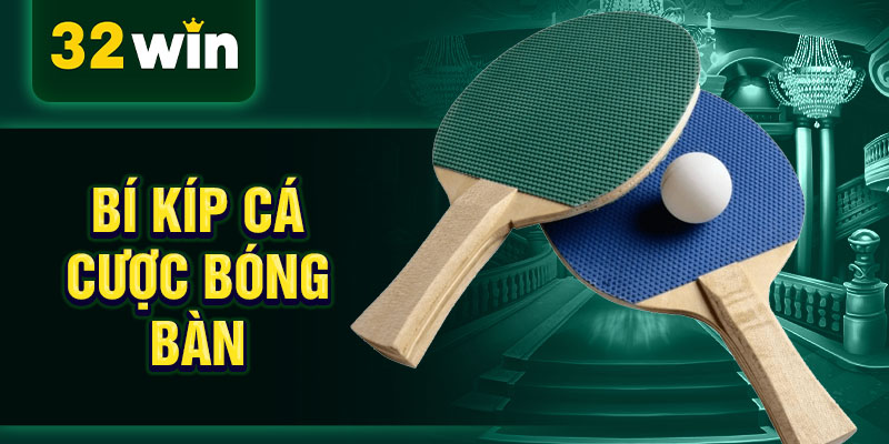 Bí kíp cá cược bóng bàn 